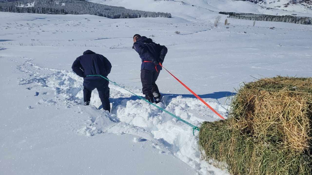 Tres policías caminaron kilómetros bajo la nieve para asistir a una familia de crianceros que estaba aislada thumbnail